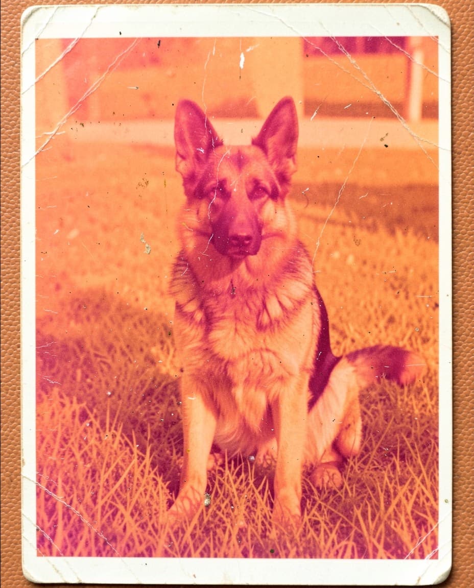 Before: AI photo restoration before and after examples